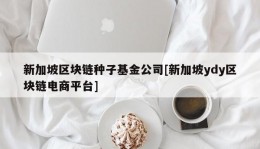 新加坡区块链种子基金公司[新加坡ydy区块链电商平台]